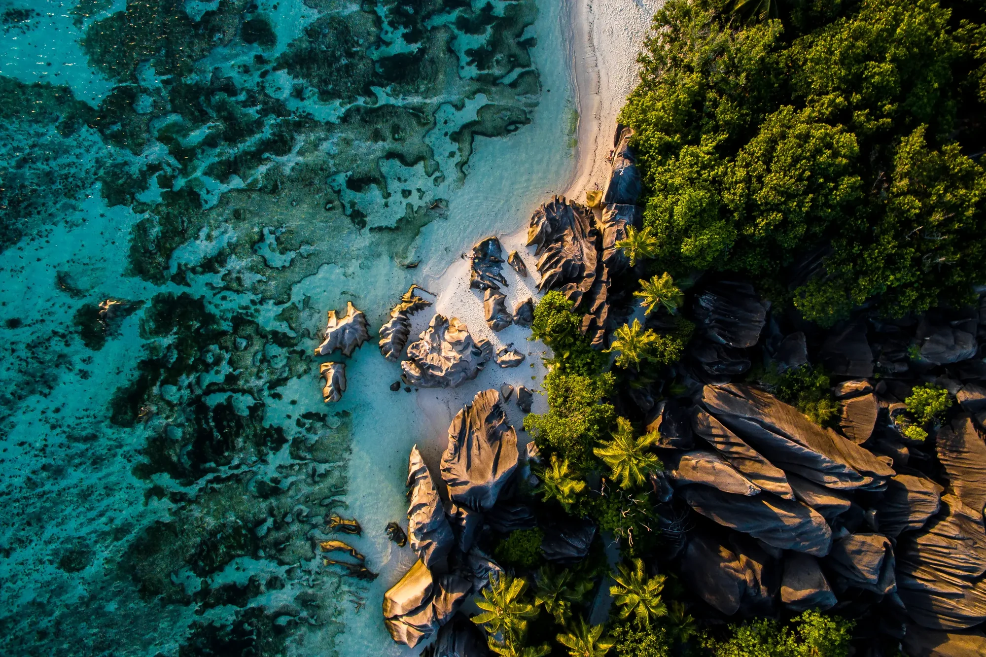 热带海岸的碧绿浅滩与岩岸