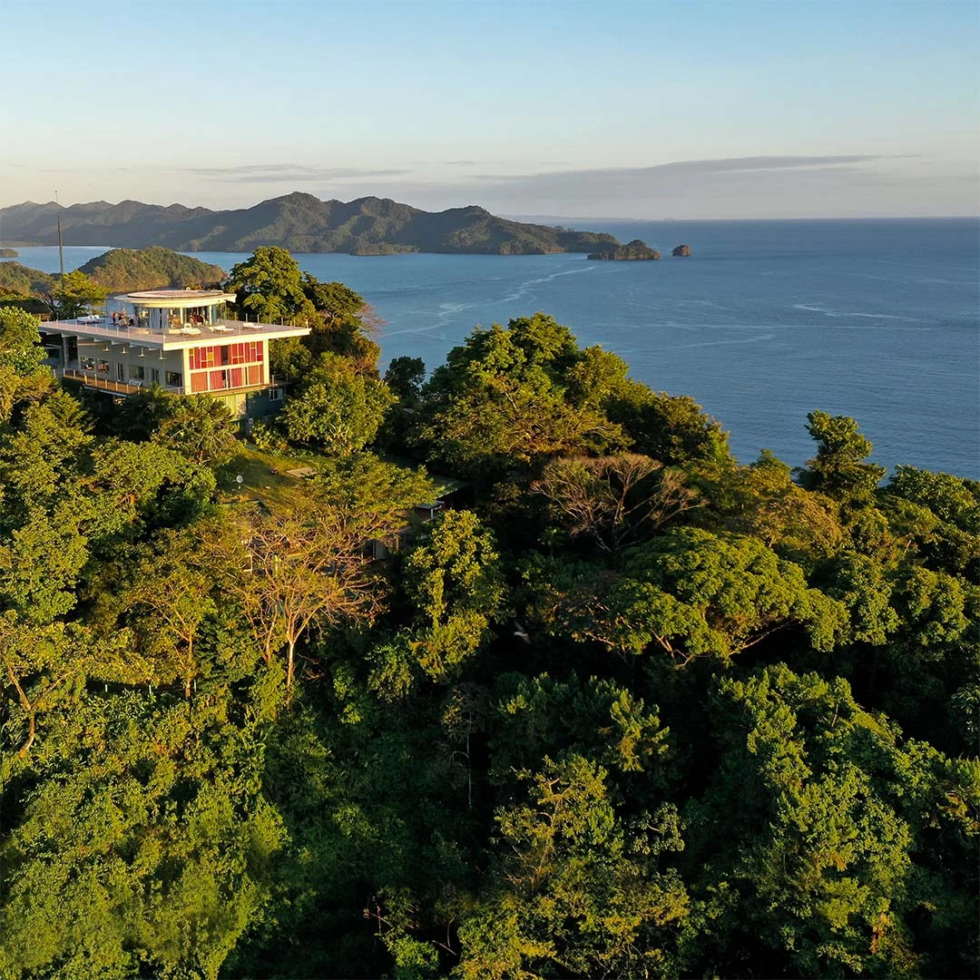 森林覆盖的海岸山丘与临海旅馆