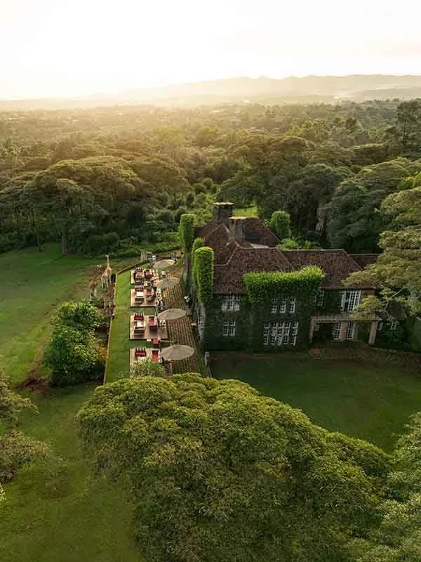 Giraffe Manor 长颈鹿庄园核心旅行景观