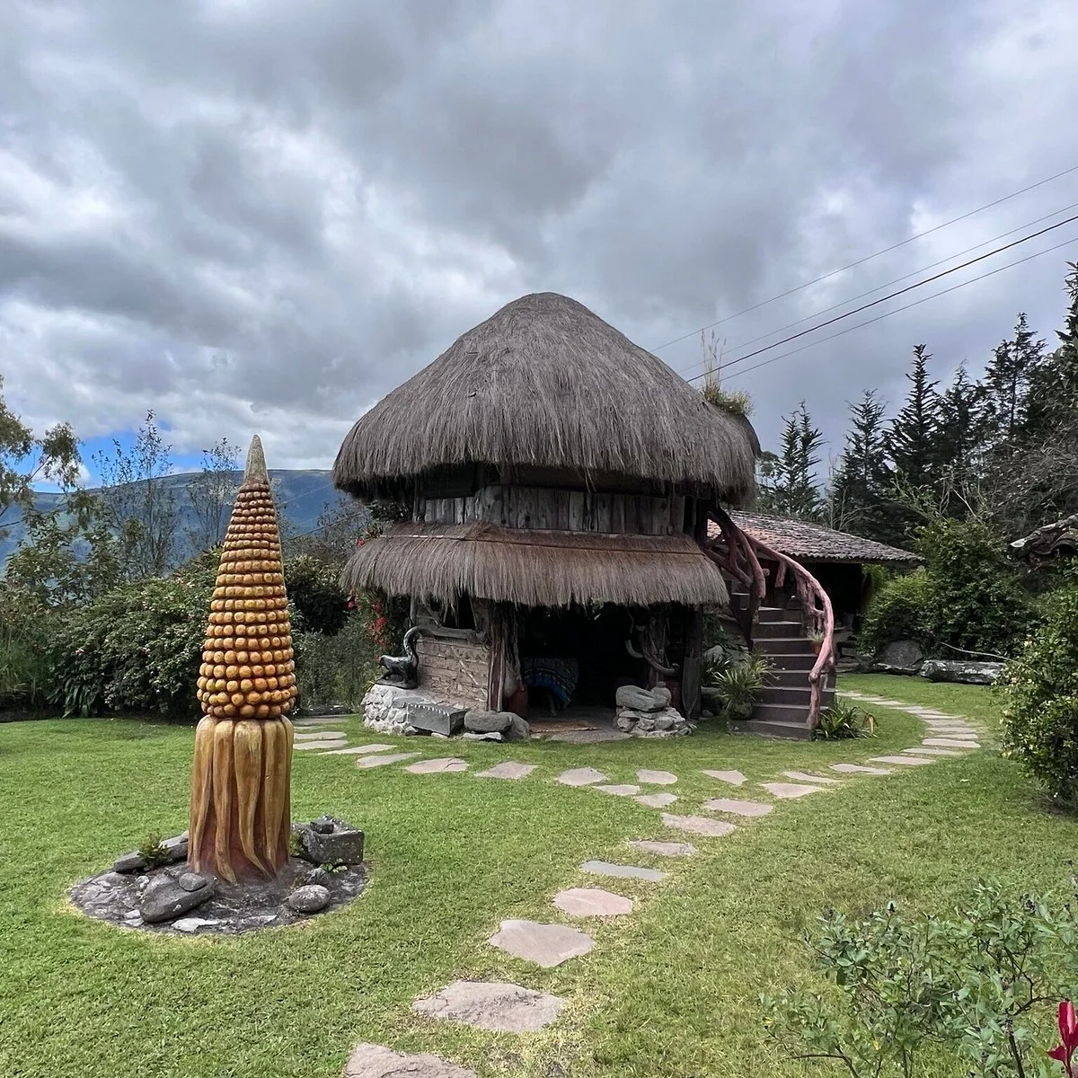 草地上的圆形茅草屋建筑