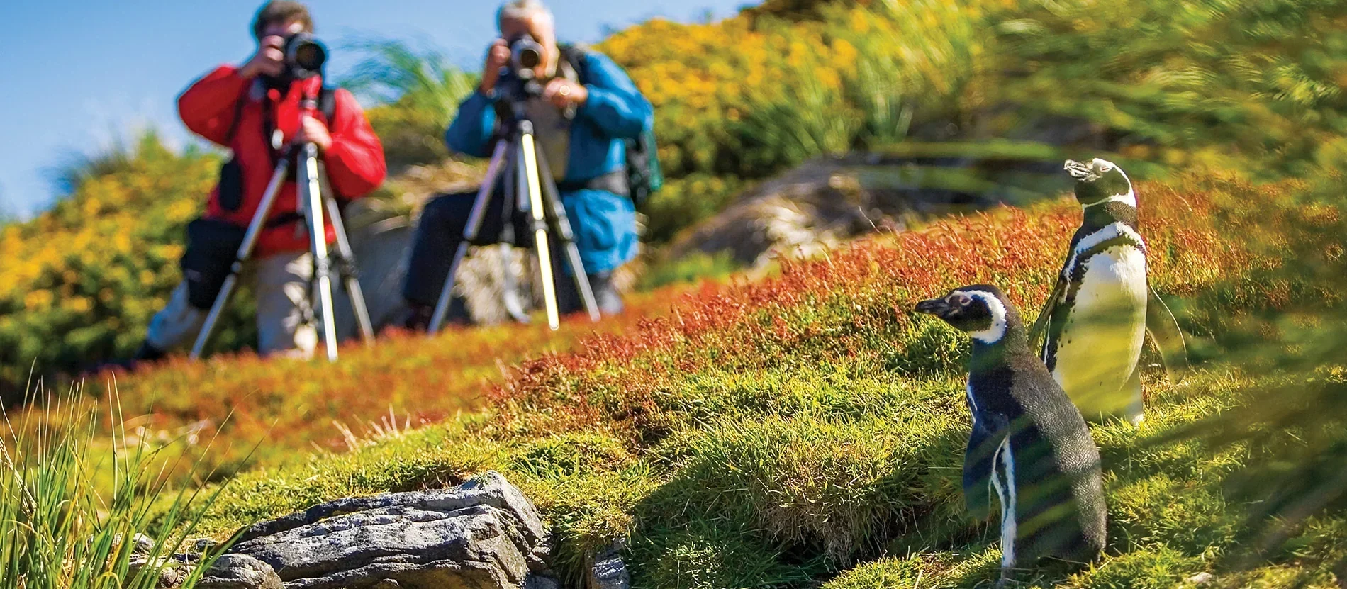 National Geographic Expeditions 国家地理旅行核心旅行景观