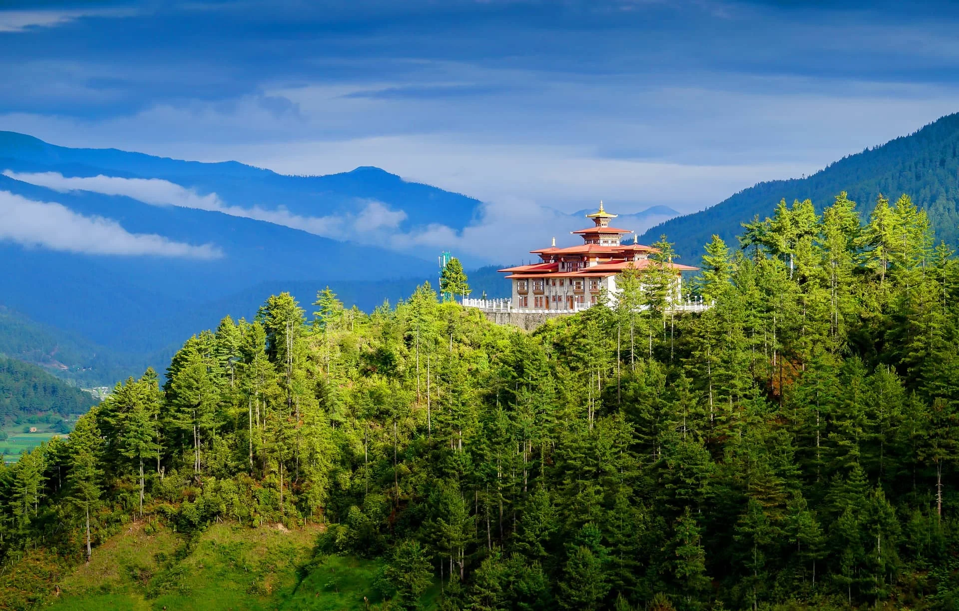 森林山坡上的藏式建筑