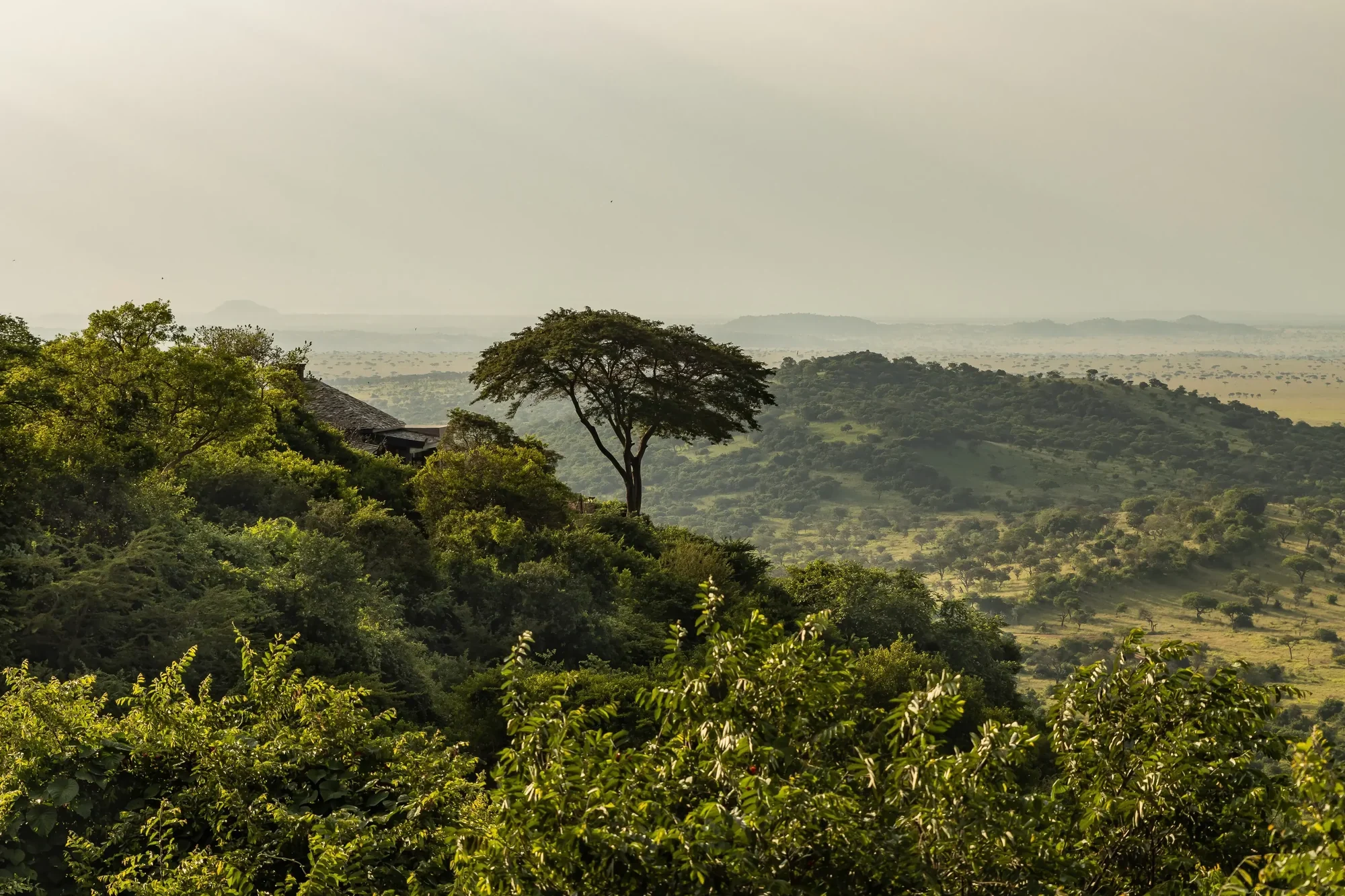 Singita Sasakwa Lodge Singita Sasakwa庄园核心旅行景观