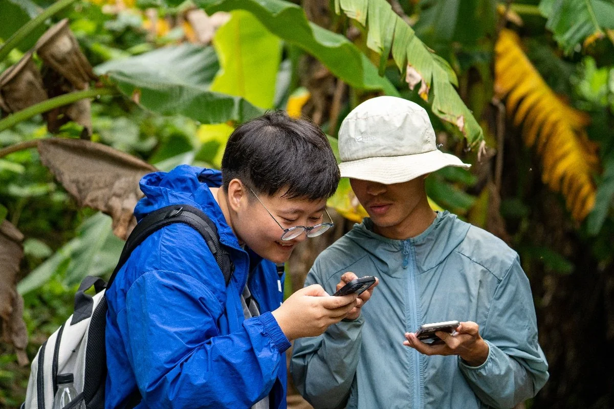 两名旅客在茂密丛林中查看地图